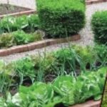 सीबीएसई स्कूलों के शिक्षकों का बनेगा अलग कैडर : मुख्यमंत्री सुखविंद्र सिंह सुक्खू