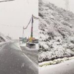 किन्नौर का सेब देशभर में मचा रहा धूम, बागवानों के चेहरे खिल उठे