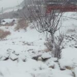 नशा मुक्त समाज, पर्यावरण संरक्षण और आपदा प्रभावितों के पुनर्वास के लिए सामूहिक प्रयास आवश्यक: ईशानी शर्मा